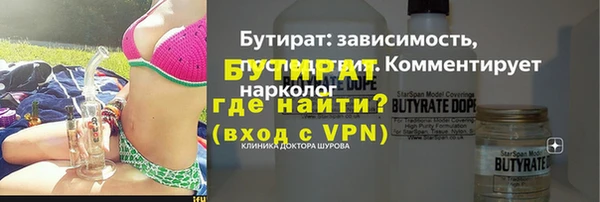 хмурый Гусь-Хрустальный