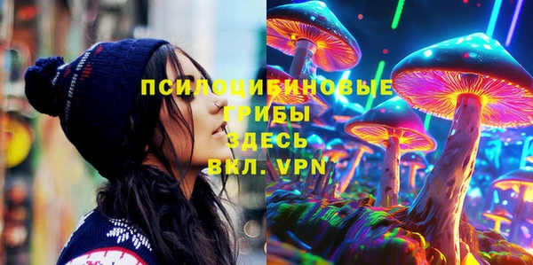 хмурый Гусь-Хрустальный