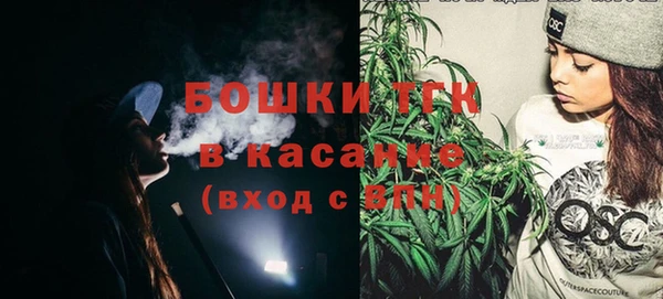 хмурый Гусь-Хрустальный