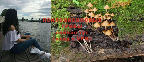 хмурый Гусь-Хрустальный