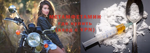 индика Горняк