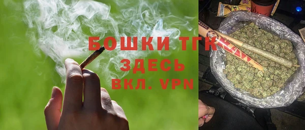 альфа пвп Гусев