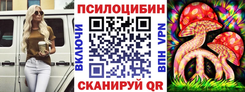 ссылка на мегу зеркало  Ершов  Псилоцибиновые грибы Psilocybine cubensis 